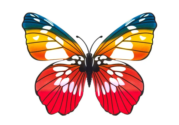 Beautiful butterfly — Stock Photo, Image