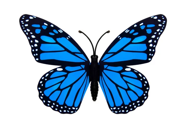 Schöner Schmetterling — Stockfoto