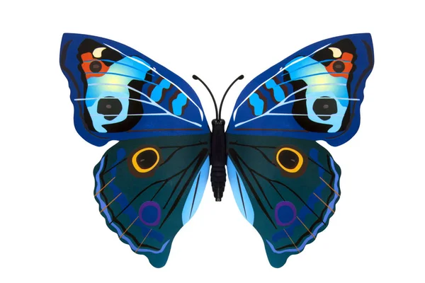 Beautiful butterfly — Stock Photo, Image