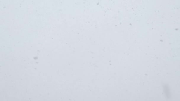 Ett tungt snöfall utomhus på naturlig himmel bakgrund — Stockvideo