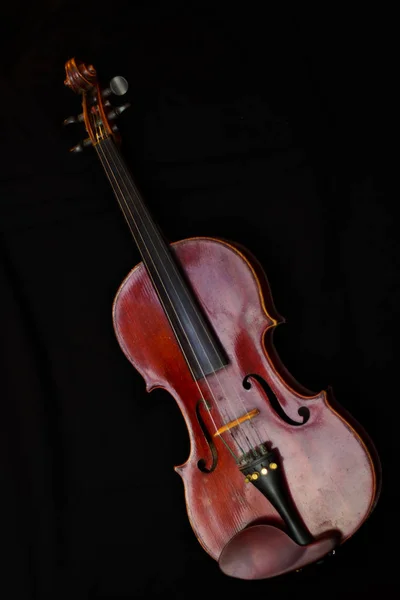 Violon brun en bois — Photo