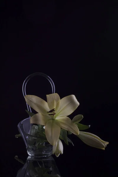 Lys Blanc Fleur Intérieur Vase Verre Fond Noir — Photo