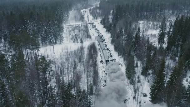 Fumée noire du train à vapeur en forêt 