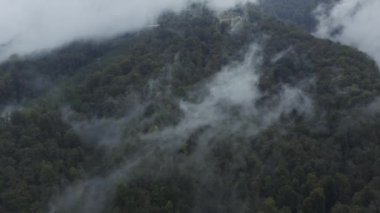 Dağ ormanından gökyüzü manzaralı bulutlar yükseliyor