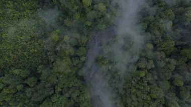 Dağ vadisindeki derenin aşağısında bulutlar ormanın üzerinde yüzüyor.