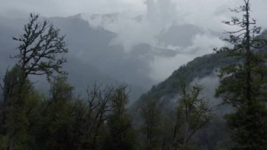 Dağdaki hava manzaralı bulutlar, yeşil ıslak orman manzarası