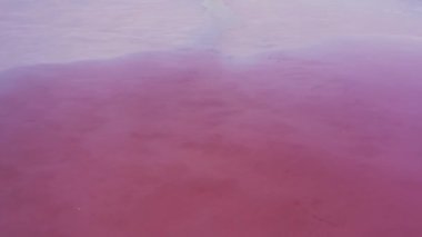 Aerial top down view pink water in salt lake
