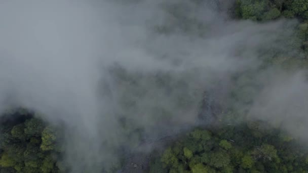 Vue aérienne du haut vers le bas le nuage flotte lentement au-dessus de la forêt 