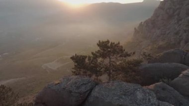 Dağın yamacında gün batımına karşı gökyüzü manzaralı altın ladin..