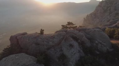 Gün batımına karşı dağın yamacında çam ağacı. Kırım