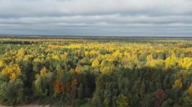 Sonbahar havası, renkli orman ve bulutların gölgeleri.