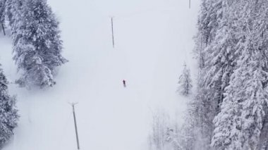 Hava manzaralı kayakçı, karlı bir ormanda kayak yapmaya gider.