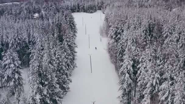 Vue aérienne skieur chevauchant dans la forêt enneigée 