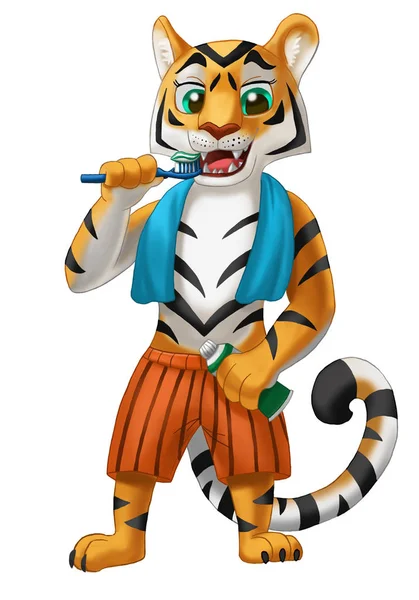 Tigre avec une serviette se brossant les dents — Photo