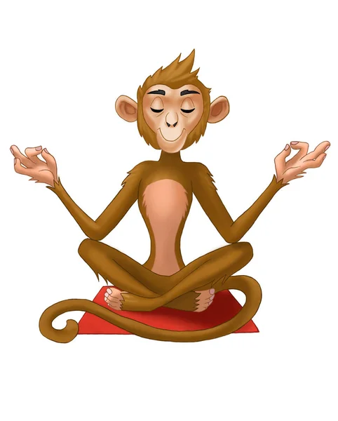 Macaco de meditação em uma pose de ioga. Ano Novo 2017 celebração — Fotografia de Stock
