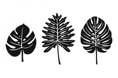 Beyaz arka plan üzerinde izole tropikal yaprak topluluğu. Vektör çizim.