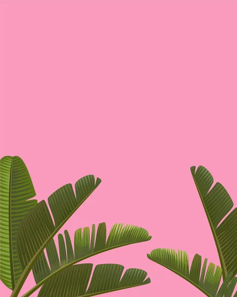 熱帯の葉とピンクの背景。ベクトル図. — ストックベクタ