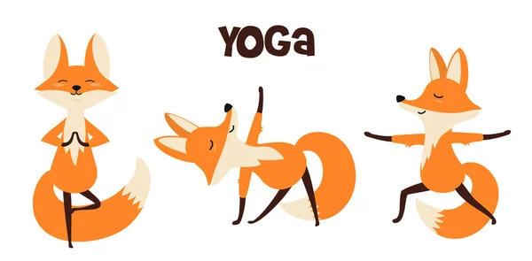 一套时髦的卡通狐狸在各种姿势瑜伽瑜伽 在白色背景上孤立的向量图 — 图库矢量图片