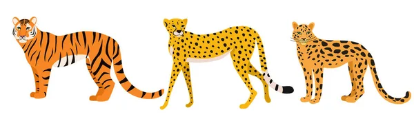 Set Wilde Katten Tijger Cheeta Luipaard Vector Illustratie Geïsoleerd Witte — Stockvector