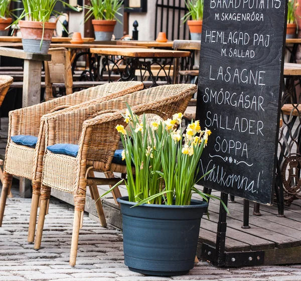 pot Café sokakta duran nergis