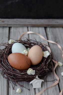 bir yuvaya gri bir ahşap zemin üzerinde üç renkli yumurta yalan