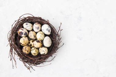Bıldırcın yumurtası hafif bir arka plan üzerinde bir yuva