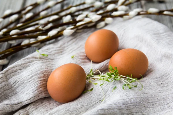 Ovos, brotos de salada e ramos de salgueiro estão em um fundo leve — Fotografia de Stock