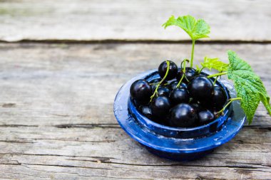 Bir vazoda ahşap arka plan üzerinde Siyah frenk üzümü