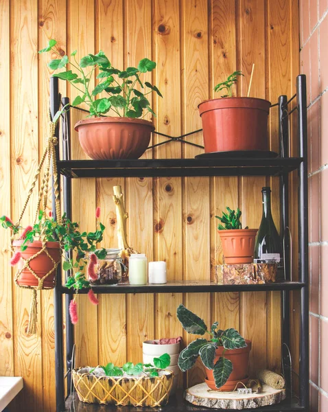 Auf dem Regal auf dem Balkon liegen Blumen, Kerzen und — Stockfoto