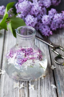 ahşap arka plan üzerinde Lila dalları