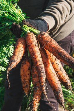 Yatağın üzerinde mokrovka yalan