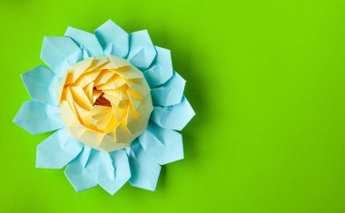 renkli nilüferler kağıttan