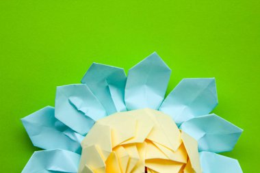 renkli nilüferler kağıttan