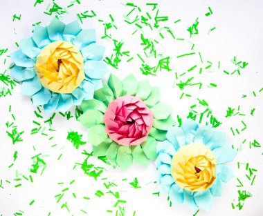 renkli nilüferler kağıttan