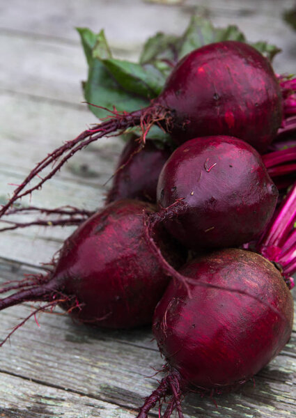 beets are on a gray background, close-up