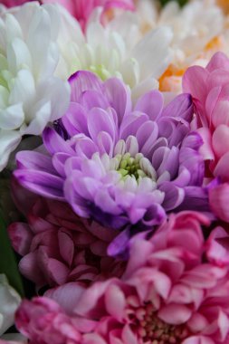 farklı renk krizantem buket