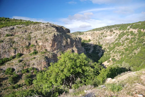 Belles montagnes de Haute Galilée, Israël — Photo