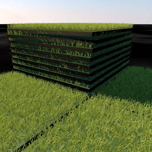 Gräs matta, illustrationer 3 d render. Gräs, grön. — Stockfoto