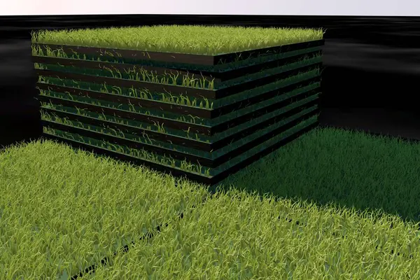  Çim mat, illüstrasyonlar 3 d render. Çimen, yeşil.