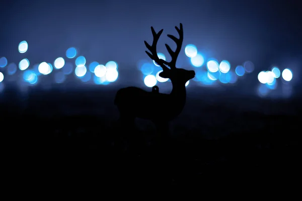 Dunkelblauer Hintergrund. Rentiere in der Nacht. — Stockfoto