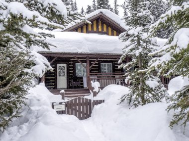 Kanada Rockies kabin gömülü ins kar. 
