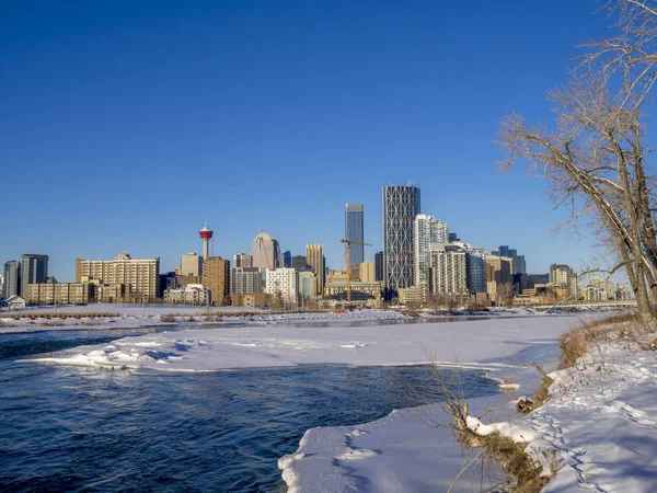 Skyline Calgary lungo il fiume di prua . — Foto Stock