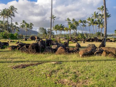 Eski Hawaii tapınak veya Heiau