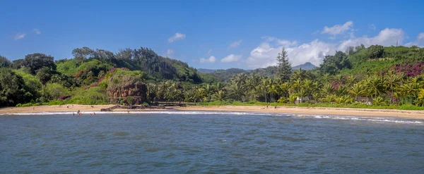 Vista panorámica de los jardines McBryde en Kauai — Foto de Stock