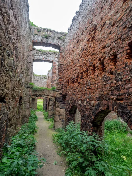 Aberdeenshire, İskoçya: 25 Temmuz: 25 Temmuz 2017 yeni Slains kalesinde Aberdeenshire İskoçya'da. Yeni Slains Castle Bram Stoker Dracula yazmak için ilham kaynağı olduğu söylenir.