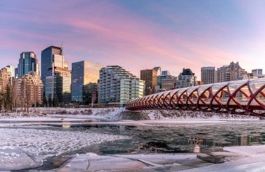 Calgary 'nin şehir merkezindeki Bow River ufuk çizgisine bakın. Barış köprüsü görüntüde görünüyor.. 