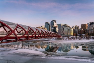 Calgary 'nin şehir merkezindeki Bow River ufuk çizgisine bakın. Barış köprüsü görüntüde görünüyor.. 