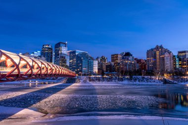 Calgary 'nin şehir merkezindeki Bow River ufuk çizgisine bakın. Barış köprüsü görüntüde görünüyor.. 