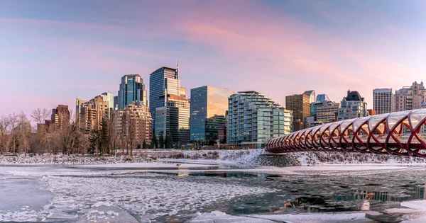 View Calgary Downtown Skyline Bow River Peace Bridge Visible Image — Stock Photo, Image