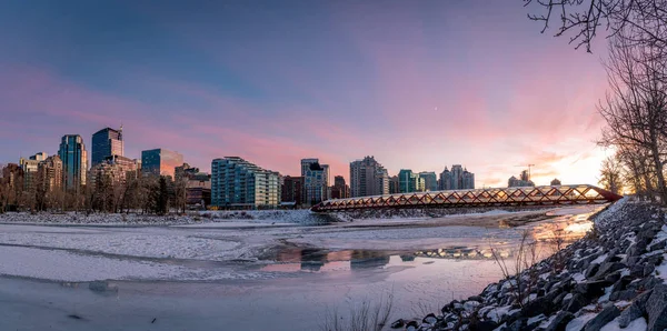 Blick Auf Die Skyline Der Innenstadt Von Calgary Bug River — Stockfoto